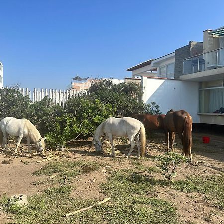 Bed and Breakfast Yolo House Peru Асія Екстер'єр фото